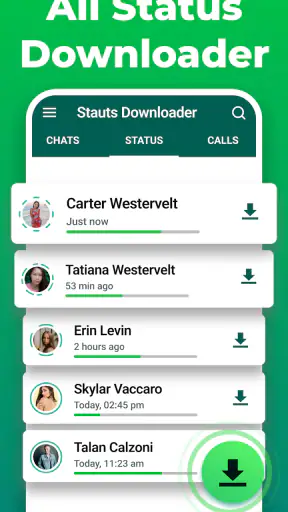 Statusbeveiliging - Whatstatus screenshot