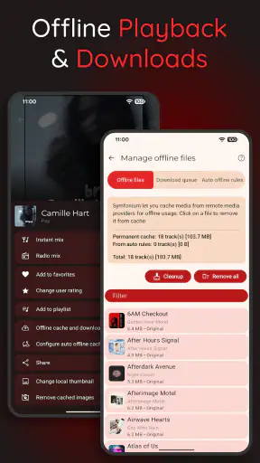 Symfonium: Music player & cast screenshot