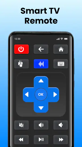 Universal TV Remote Control screenshot