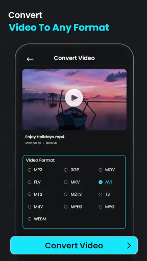 Videocompressor en -omzetter screenshot