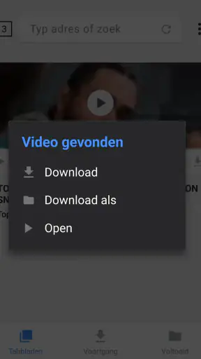 Videodownloader screenshot