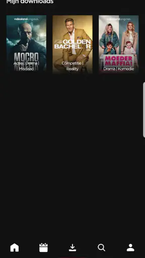 Videoland screenshot