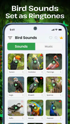 Vogelgeluiden screenshot