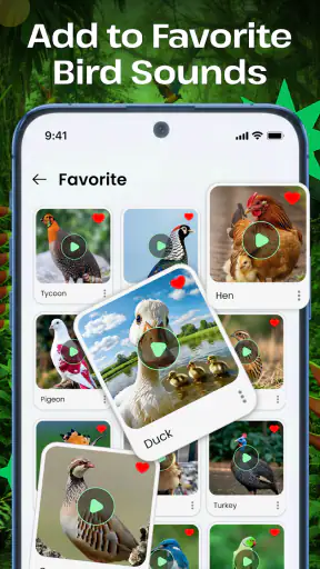 Vogelgeluiden screenshot