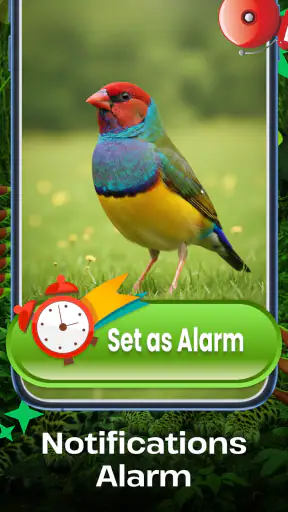 Vogelgeluiden screenshot