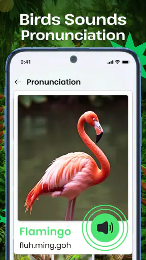 Vogelgeluiden screenshot