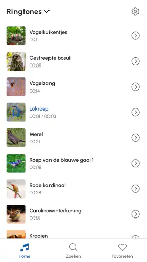 Vogelgeluiden screenshot