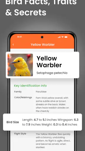 Vogelgeluiden Herkennen App screenshot