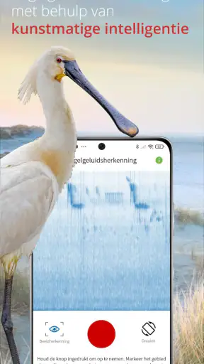 Vogels van Nederland en België screenshot