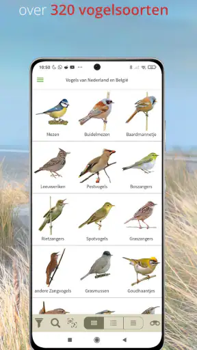 Vogels van Nederland en België screenshot