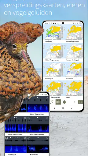 Vogels van Nederland en België screenshot