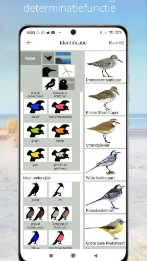 Vogels van Nederland en België screenshot