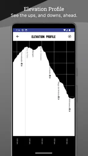 Wise Pilgrim Camino Francés screenshot