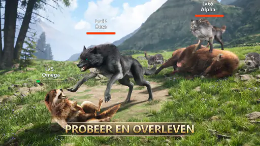 Wolvenspel screenshot