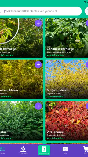 Yarinde Tuin screenshot