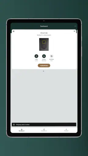 Zaptec screenshot