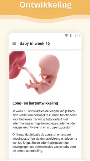 Zwangerschap screenshot