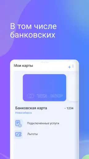 Транспортная карта screenshot