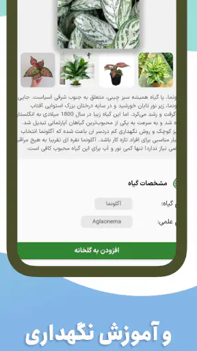 گل بین | شناسایی گیاه با عکس screenshot