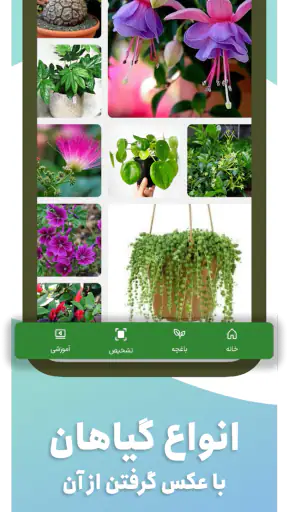 گل بین | شناسایی گیاه با عکس screenshot
