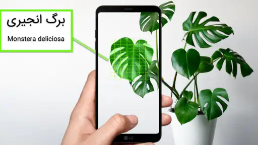 گل بین | شناسایی گیاه با عکس screenshot