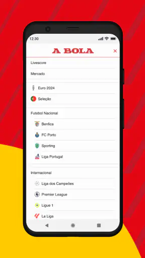 A BOLA screenshot