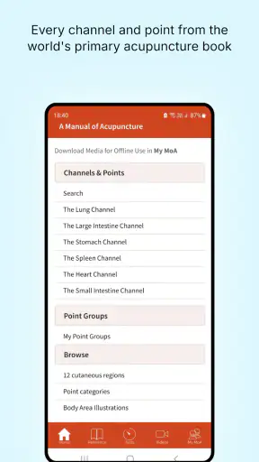 A Manual of Acupuncture 2025 screenshot