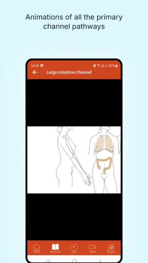 A Manual of Acupuncture 2025 screenshot
