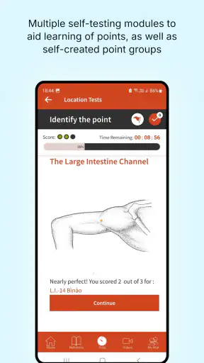 A Manual of Acupuncture 2025 screenshot