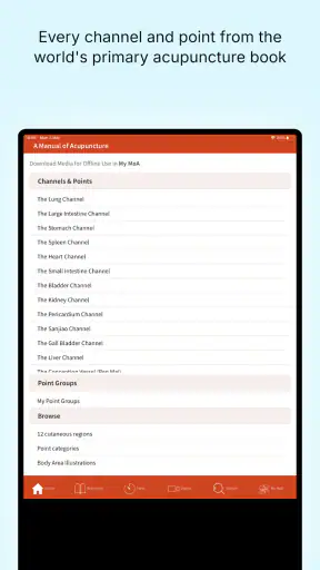 A Manual of Acupuncture 2025 screenshot
