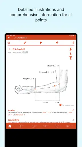 A Manual of Acupuncture 2025 screenshot