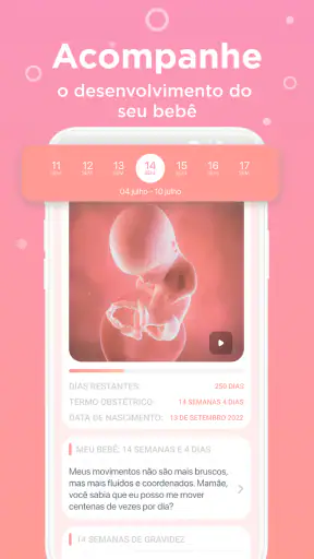 Acompanhar gravidez e gestação screenshot