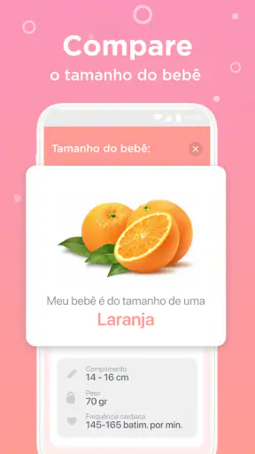 Acompanhar gravidez e gestação screenshot