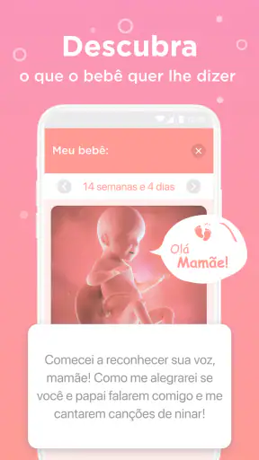 Acompanhar gravidez e gestação screenshot