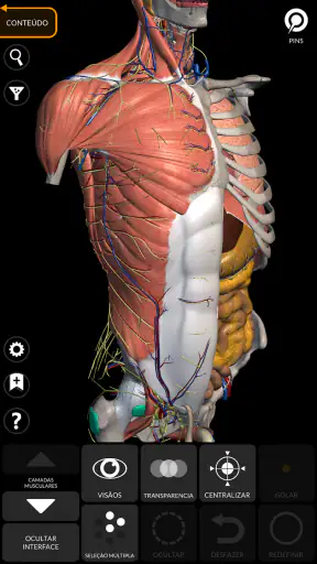 Anatomia - Atlas 3D screenshot