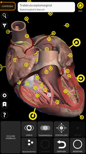 Anatomia - Atlas 3D screenshot