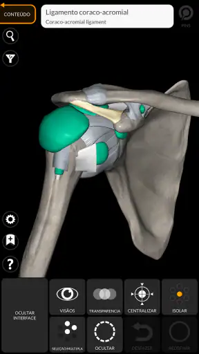 Anatomia - Atlas 3D screenshot