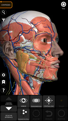 Anatomia - Atlas 3D screenshot
