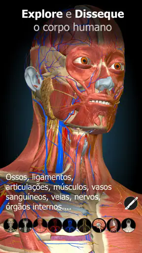 Anatomy Learning - Anatomia 3D screenshot