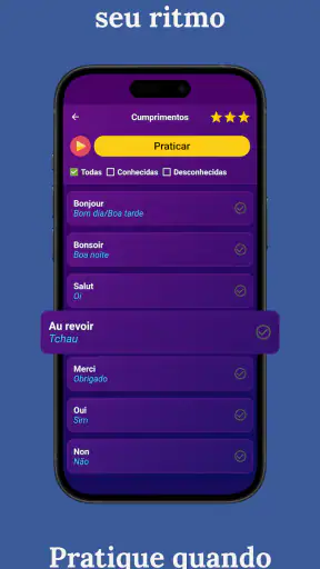 Aprender francês - iniciantes screenshot