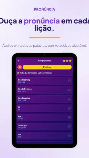 Aprender inglês - iniciantes screenshot
