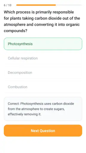 Ask Maeve - Study & Exam Prep screenshot