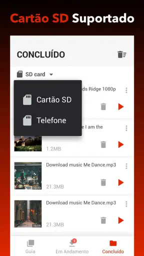 Baixador de Vídeos screenshot