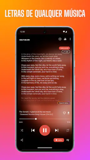 Baixador e reprodutor de MP3 screenshot