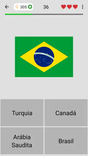 Bandeiras dos países do mundo screenshot