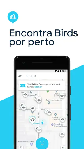 Bird screenshot