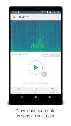 BirdNET screenshot