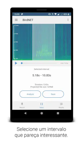 BirdNET screenshot