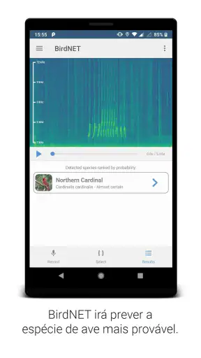 BirdNET screenshot