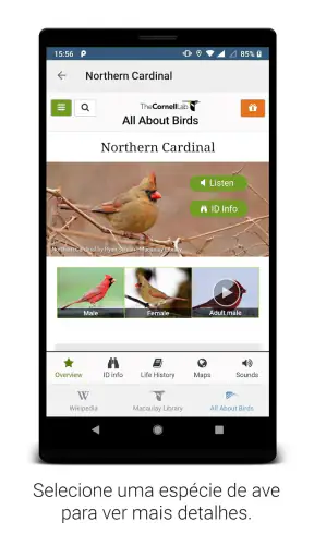 BirdNET screenshot